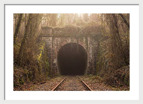 Abandoned Railway Tunnel Entrance