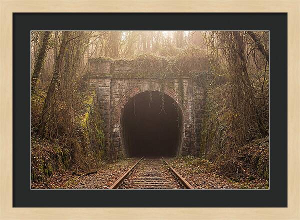 Abandoned Railway Tunnel Entrance