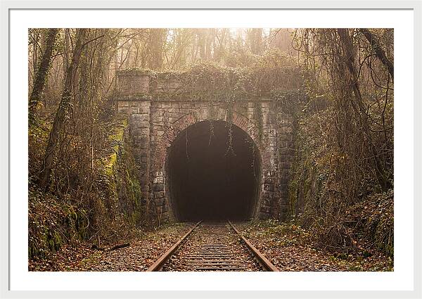 Abandoned Railway Tunnel Entrance