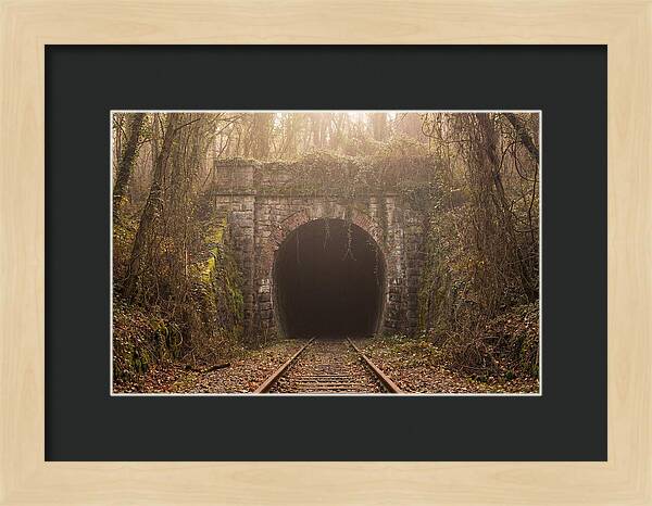 Abandoned Railway Tunnel Entrance