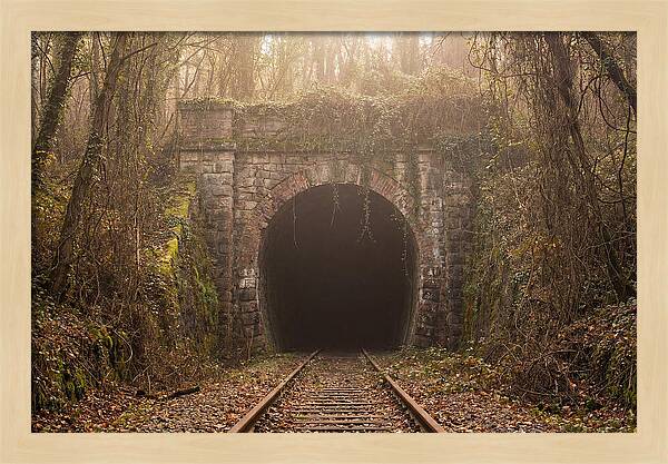 Abandoned Railway Tunnel Entrance