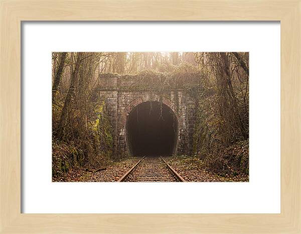 Abandoned Railway Tunnel Entrance
