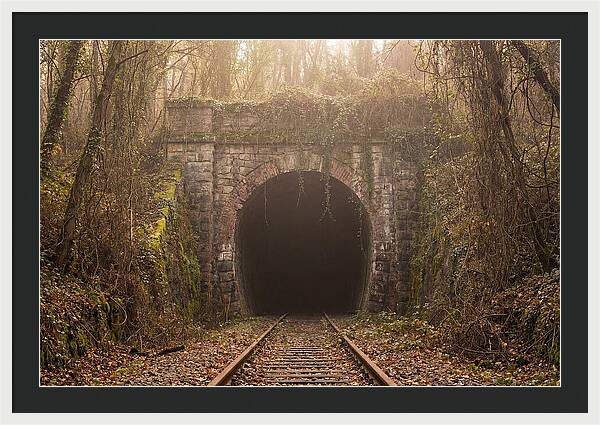 Abandoned Railway Tunnel Entrance