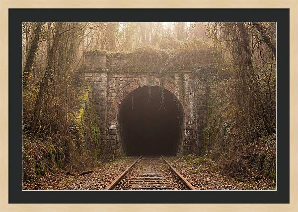 Abandoned Railway Tunnel Entrance