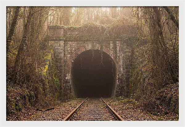 Abandoned Railway Tunnel Entrance