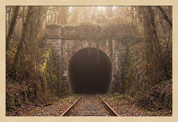 Abandoned Railway Tunnel Entrance