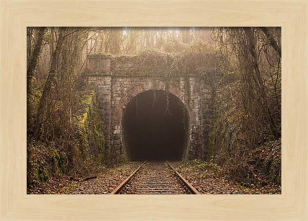 Abandoned Railway Tunnel Entrance
