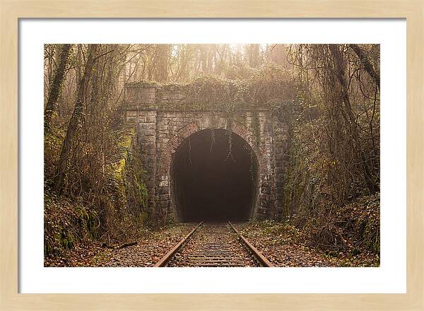 Abandoned Railway Tunnel Entrance