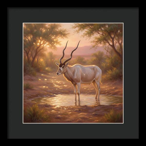Addax At Dusk