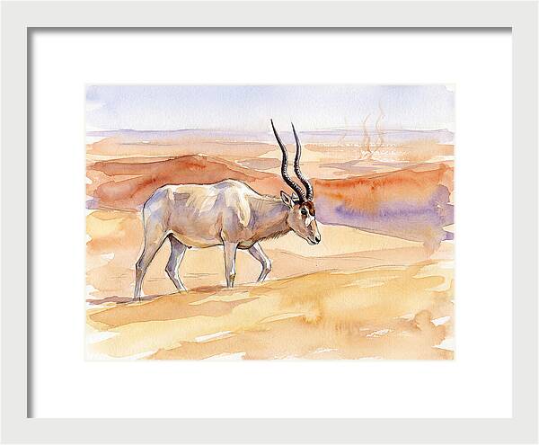Addax In Desert Serenity