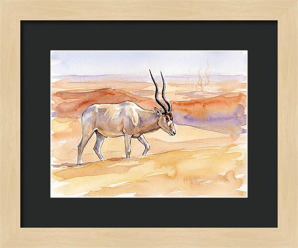 Addax In Desert Serenity