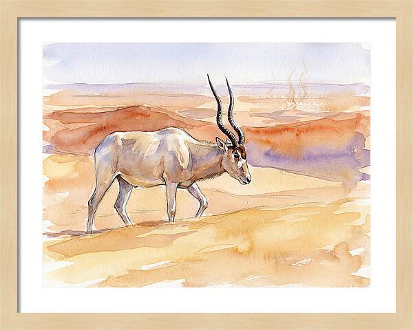 Addax In Desert Serenity