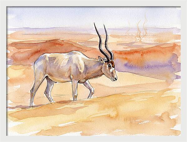 Addax In Desert Serenity