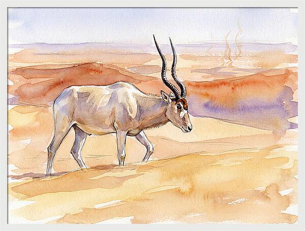 Addax In Desert Serenity