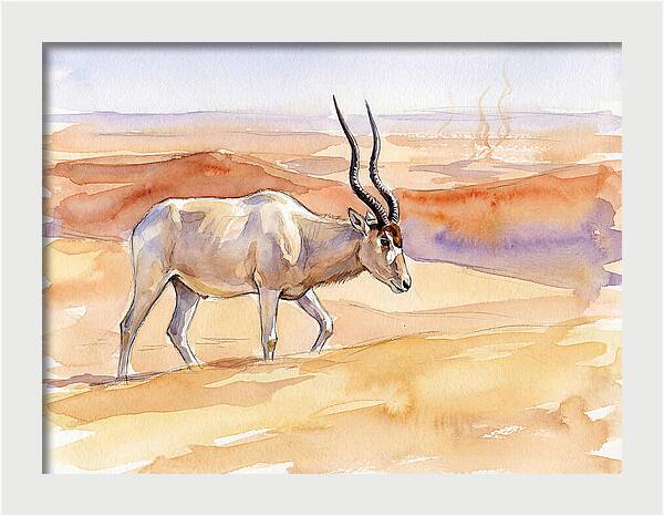 Addax In Desert Serenity