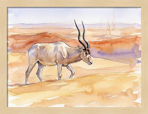 Addax In Desert Serenity