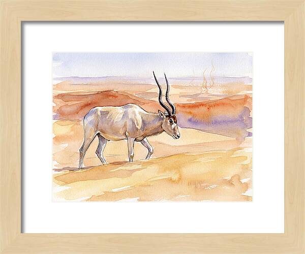 Addax In Desert Serenity