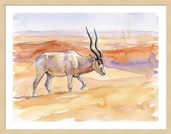 Addax In Desert Serenity