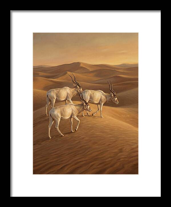 Addax In The Desert Dunes