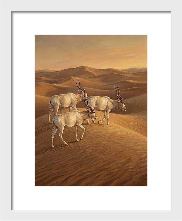 Addax In The Desert Dunes