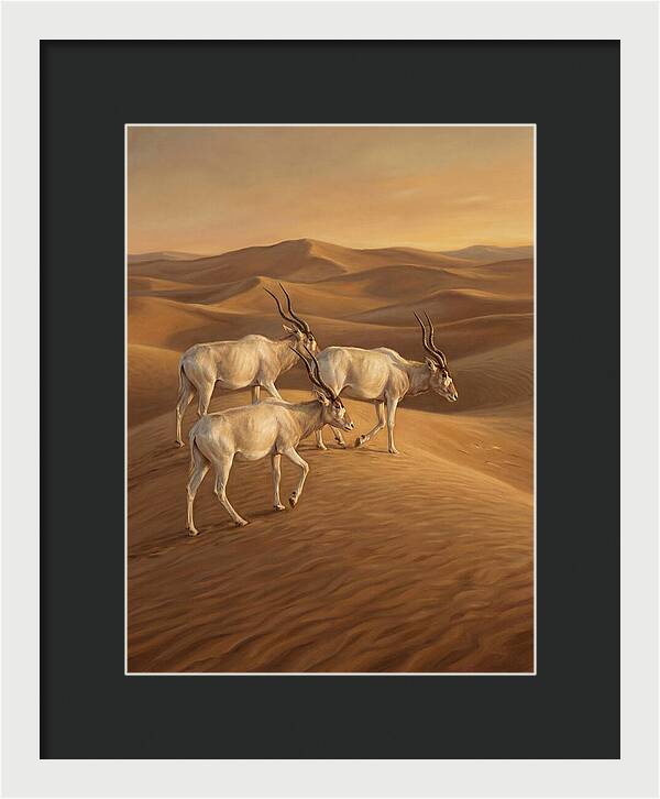 Addax In The Desert Dunes