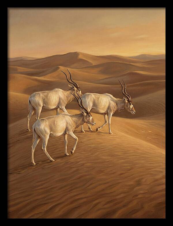 Addax In The Desert Dunes