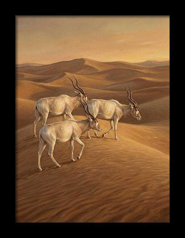 Addax In The Desert Dunes