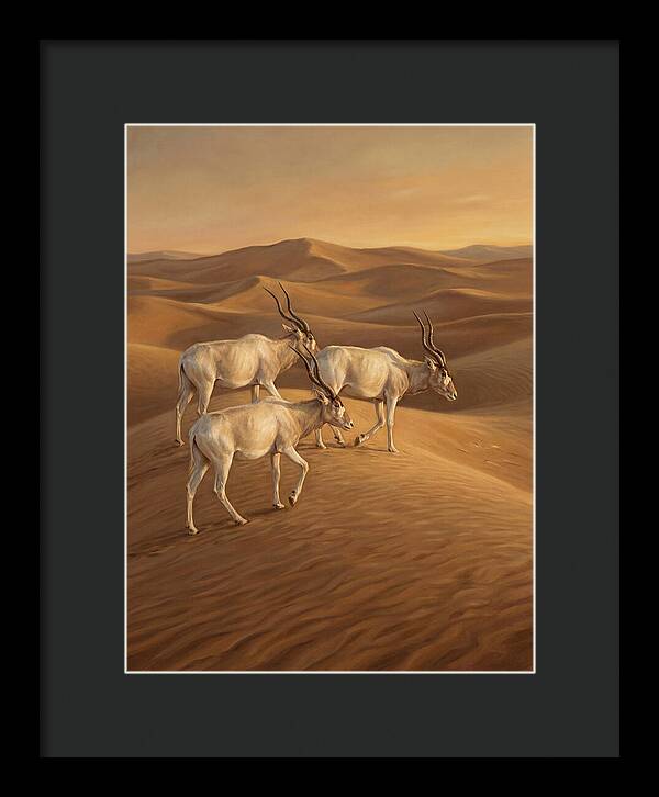 Addax In The Desert Dunes