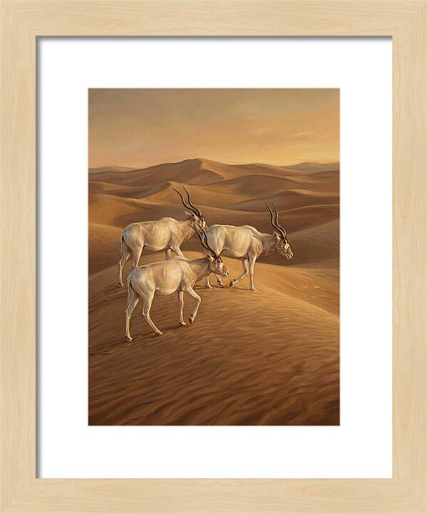 Addax In The Desert Dunes