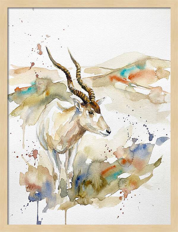 Addax In Watercolor Splendor