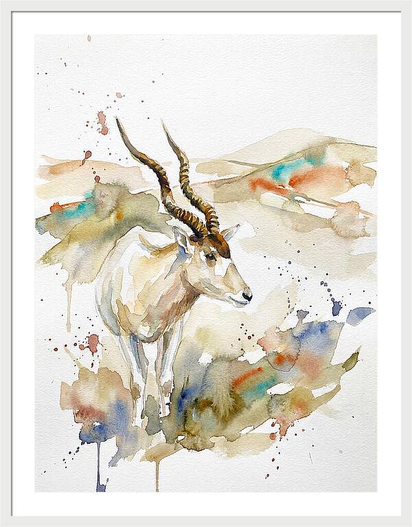 Addax In Watercolor Splendor