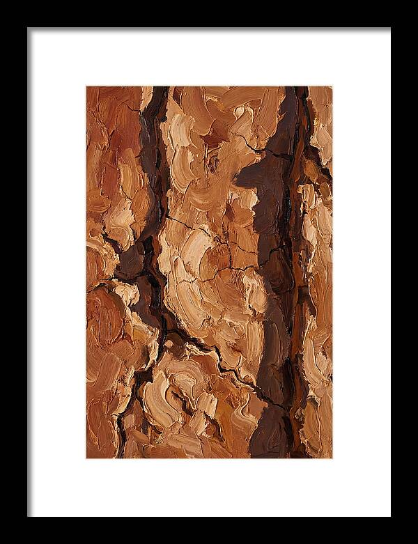 Adobe Mud Wall Texture