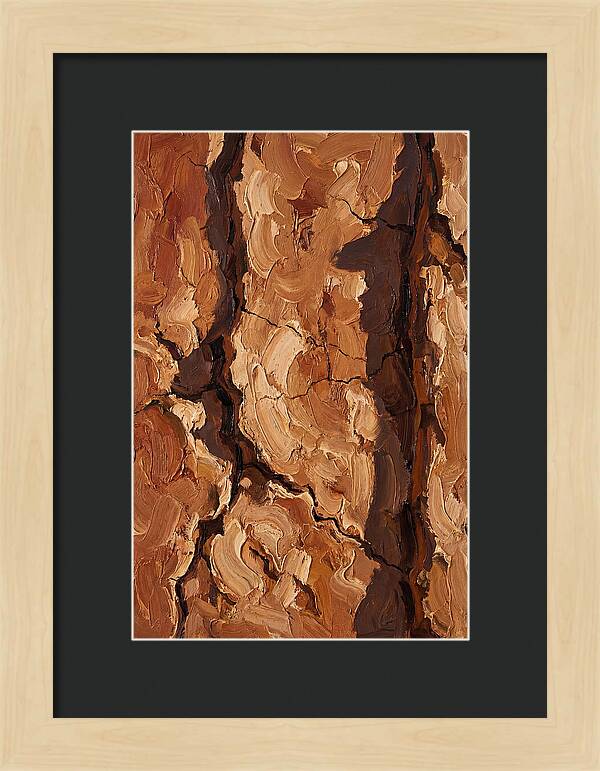Adobe Mud Wall Texture