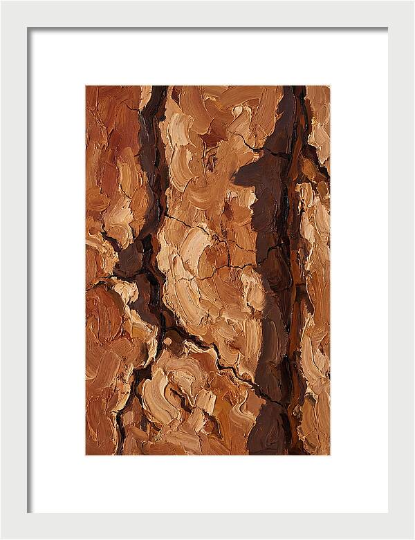 Adobe Mud Wall Texture
