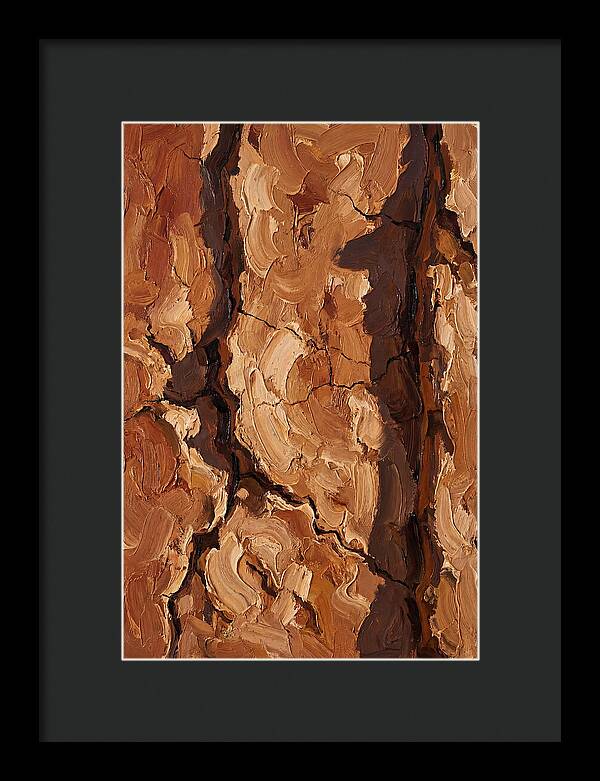 Adobe Mud Wall Texture