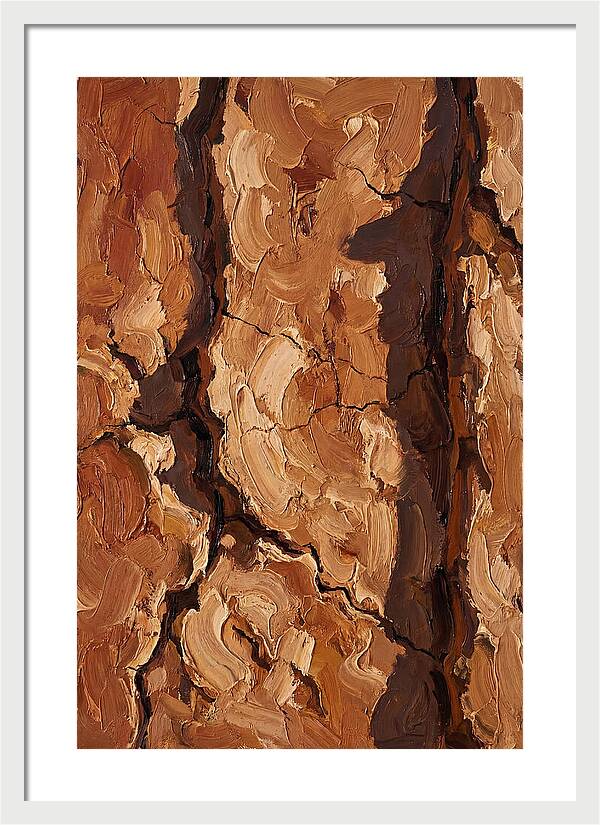 Adobe Mud Wall Texture