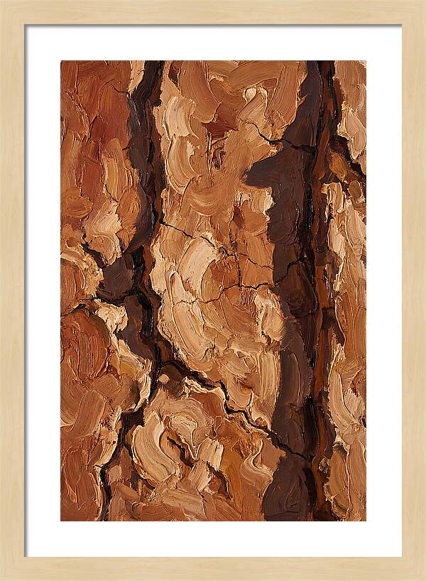 Adobe Mud Wall Texture