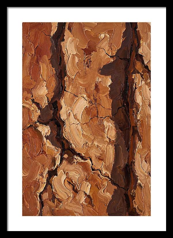 Adobe Mud Wall Texture