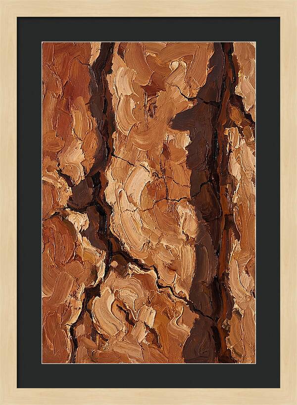 Adobe Mud Wall Texture