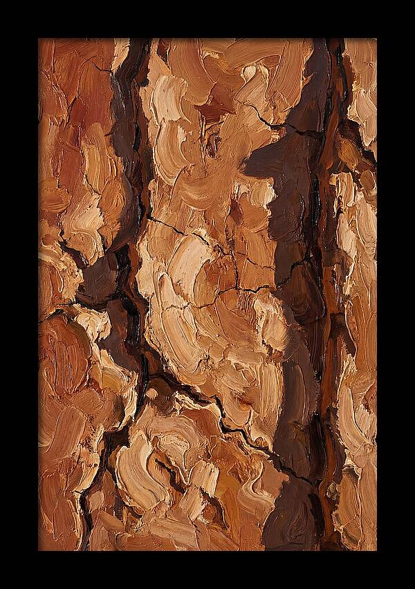 Adobe Mud Wall Texture