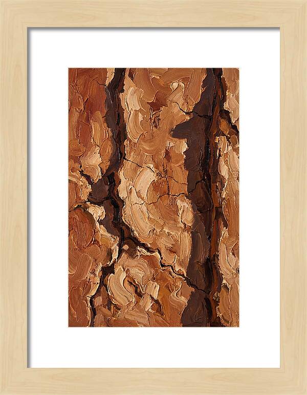 Adobe Mud Wall Texture