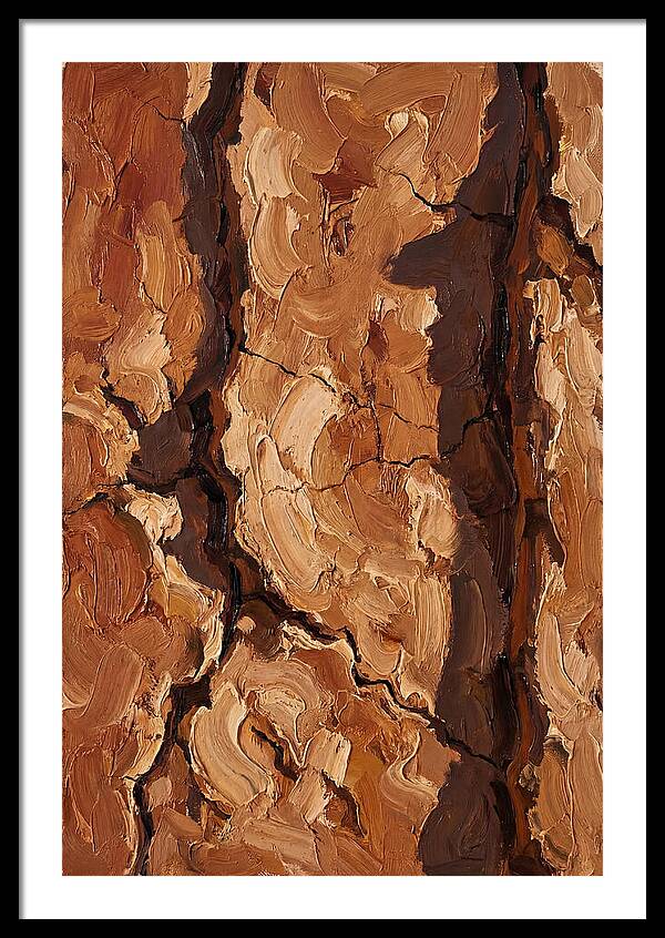 Adobe Mud Wall Texture