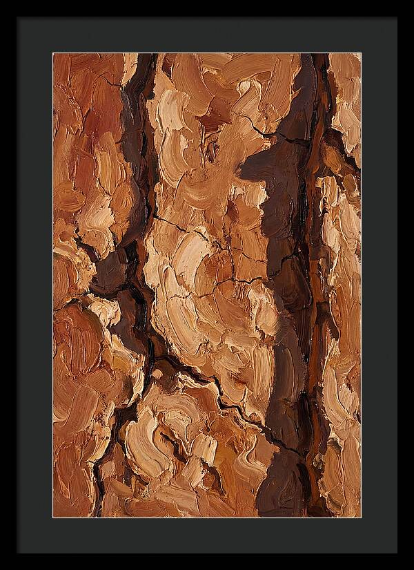 Adobe Mud Wall Texture