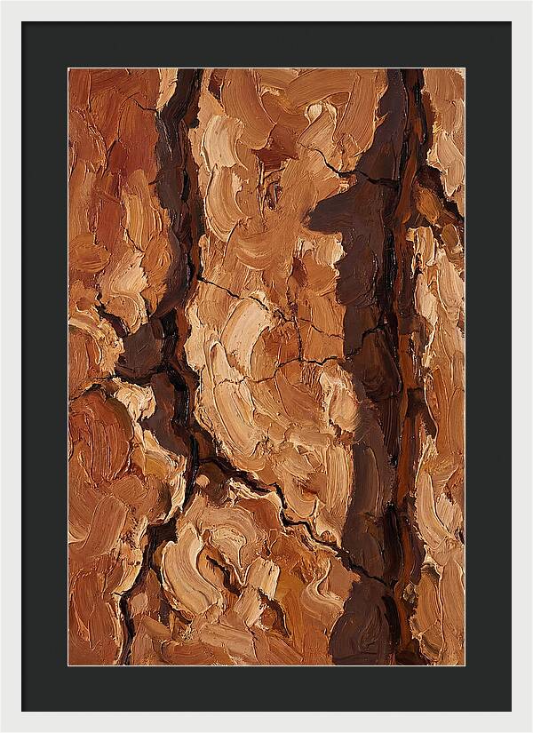 Adobe Mud Wall Texture