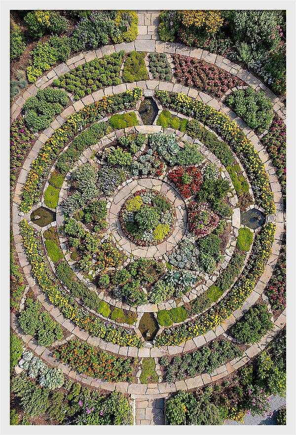 Aerial Perspective Of A Lush Garden