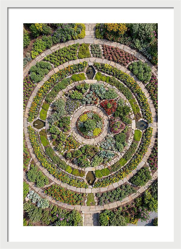 Aerial Perspective Of A Lush Garden
