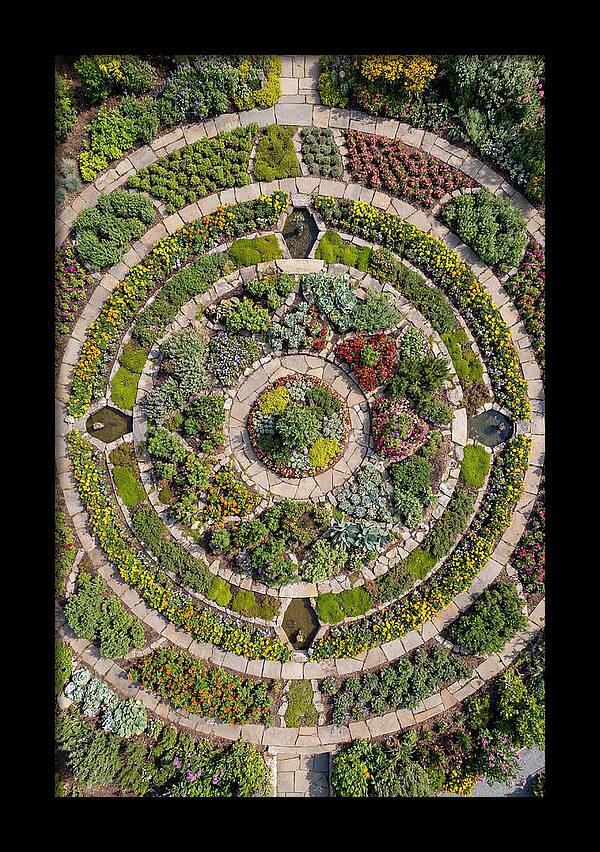 Aerial Perspective Of A Lush Garden