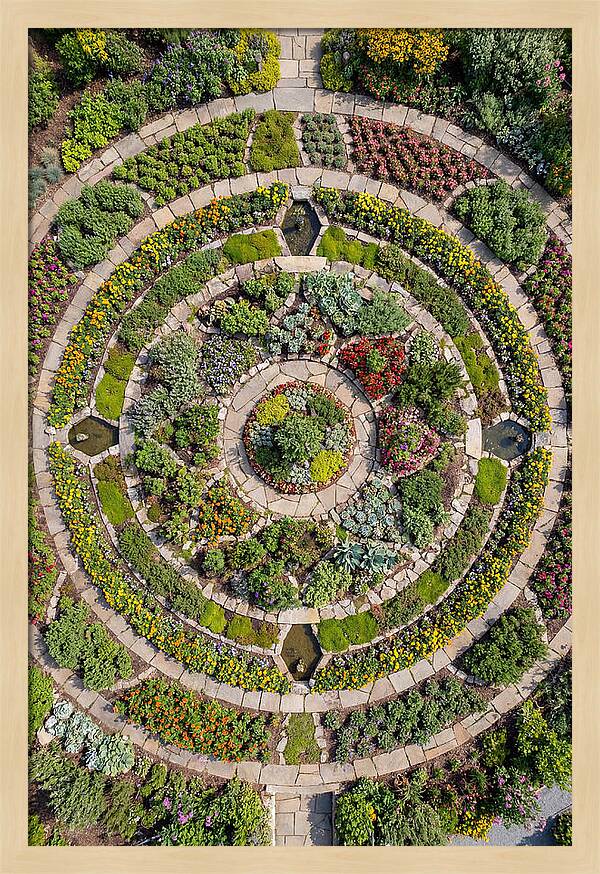 Aerial Perspective Of A Lush Garden