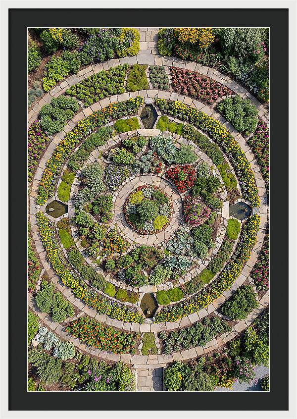 Aerial Perspective Of A Lush Garden