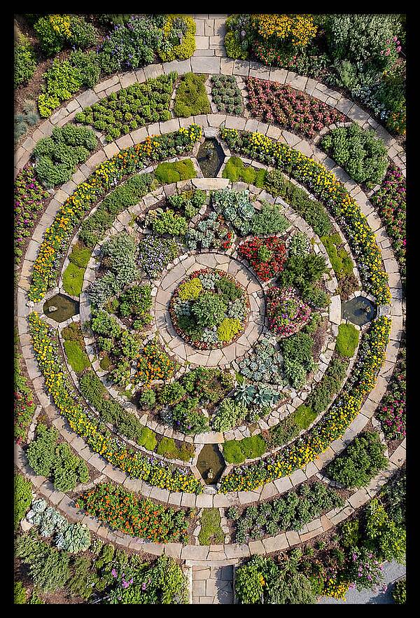 Aerial Perspective Of A Lush Garden